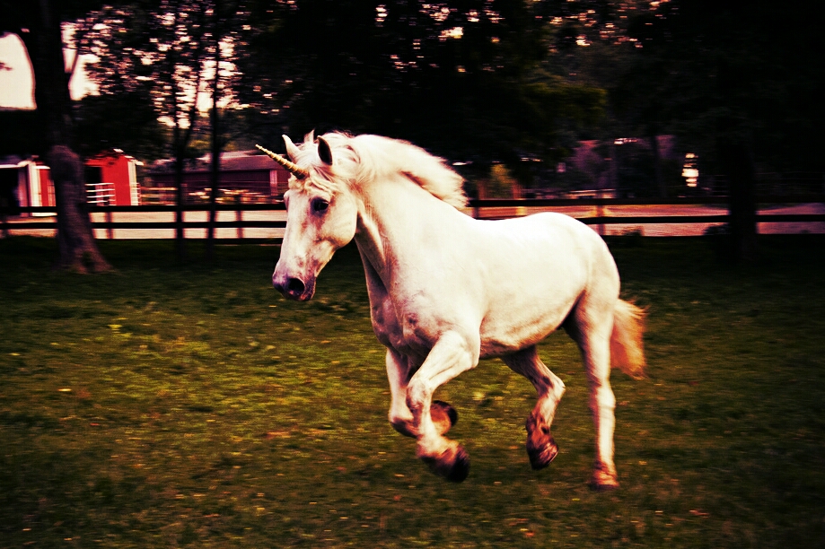 unicorn
