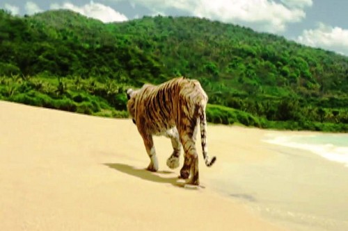 life-of-pi_richard-parker-walks-away